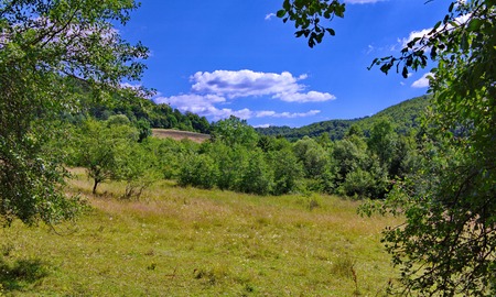 Green grass on a picturesque glade among green trees with far-away slopes with green trees under a blue sky with clouds.の写真素材