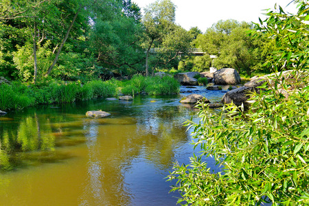 The river flowing between the green beaches with huge boulders lying in the middle of it and a bridge that is seen far away among the branches of trees.の写真素材