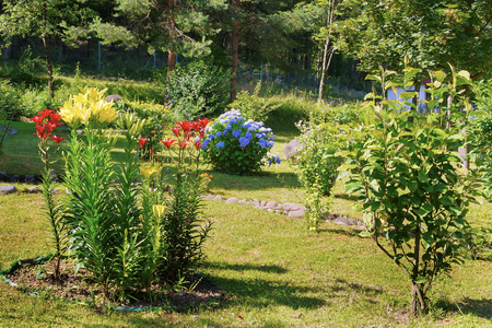 The flowerbed grows beautiful, colorful flowers. Red, yellow and blueの写真素材