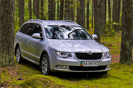 A silver car stands in a forest in the middle of tall green treesの写真素材