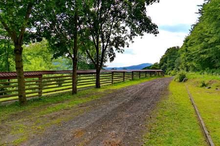 Road in the countryside walking near the fence and forest. With a mountain top visible in the distance.の写真素材