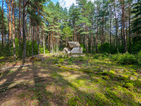 brick building on a lawn in a pine forest on a clear, sunny dayの写真素材