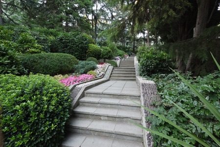 Alley in a beautiful park planted with decorative bushes and colored flowers near the curbの写真素材
