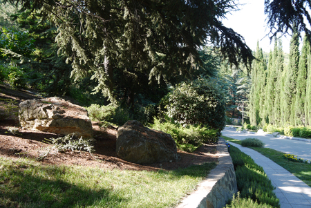 Large boulders covered with dry moss in the park. Walk by the alley for hikingの写真素材