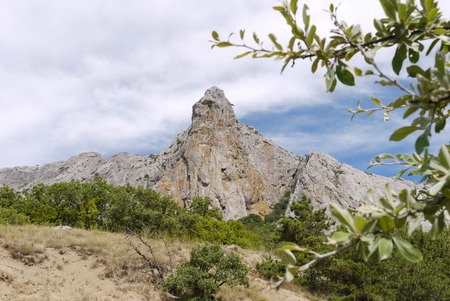 A shallow forest glade against the backdrop of a rocky mountain topの写真素材