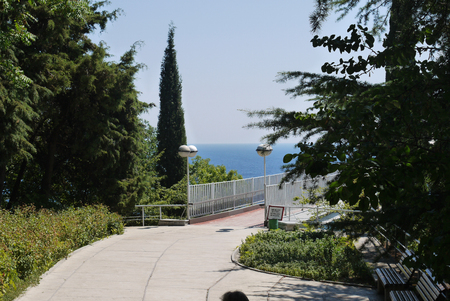 a path in the park overlooking the blue sea leading to the bridgeの写真素材