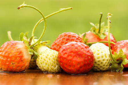 White and red strawberries lie in the sun. Delicious and sweet dessert berry. Vitamins .For your designの写真素材