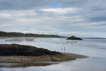 Walking surfers at Long Beach, Vancouver Island, Canadaの写真素材