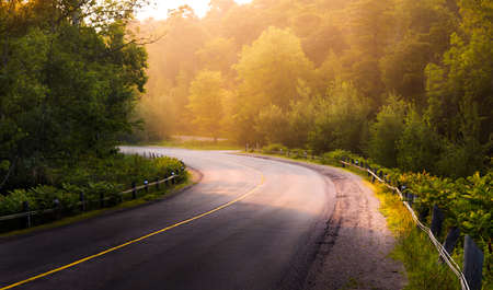 Empty country forest road with dawn sunlight coming through the trees
