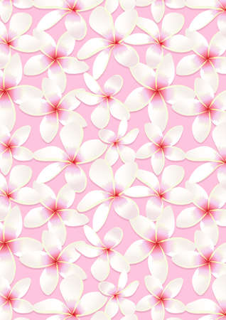Pink frangipani flowersのイラスト素材