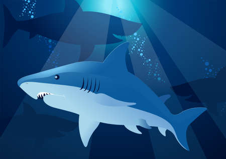 Shark swimmingのイラスト素材