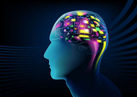 Electric brain activity in a human head .