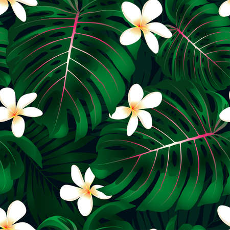 Tropical Monstera floral seamless patternのイラスト素材