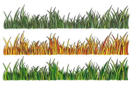 illustration of grass in 3 different colorsのイラスト素材