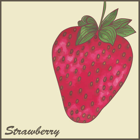 vintage styled illustration of a strawberryのイラスト素材