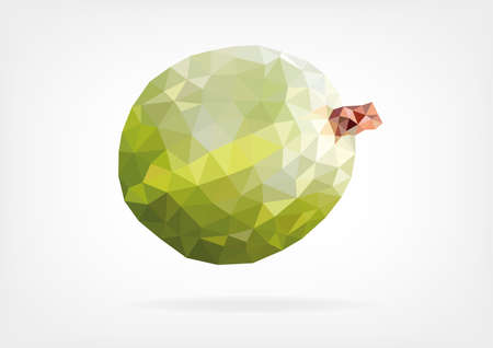 Low Poly Gooseberryのイラスト素材