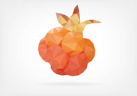 Low Poly Cloudberry / Nordic Berryのイラスト素材