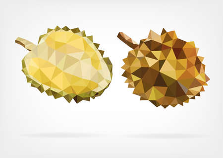 Low Poly Durian fruitのイラスト素材