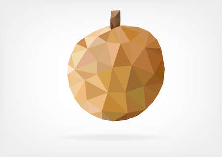 Low Poly Longan fruitのイラスト素材