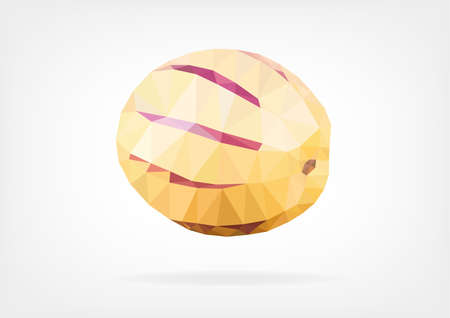 Low Poly Pepino Melon fruitのイラスト素材