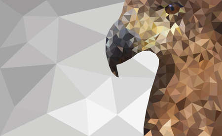 Low-Poly Eagleのイラスト素材