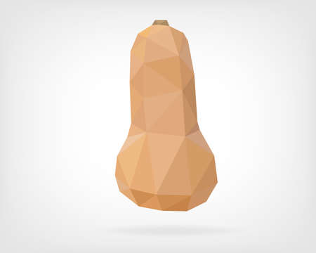 Low Poly Butternut Squashのイラスト素材