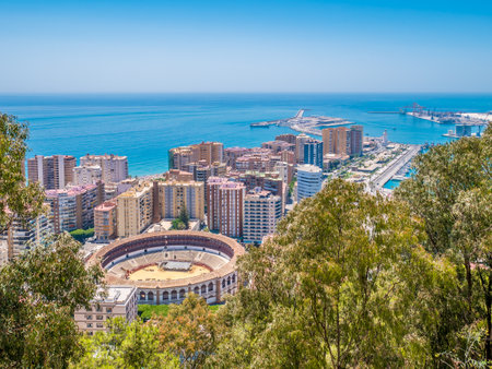 View of Malaga and the Bullring in a summer day with  blue sky, Spainのeditorial素材