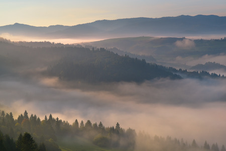 Beautiful fog on the Pieniny mountain hillの写真素材