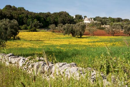 trulli in the countryside with grass and yellow flowersの写真素材
