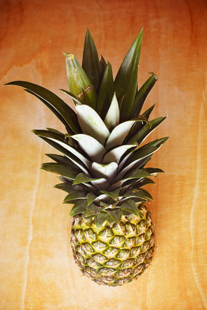 Pineapple with green tuftの写真素材