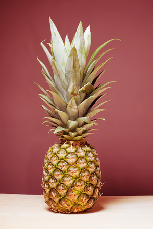 Pineapple with green tuftの写真素材