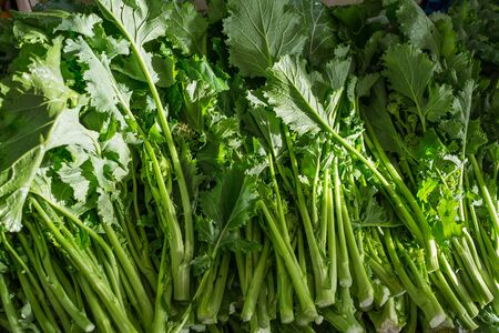 rapeseed in a vegetable marketの写真素材