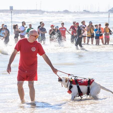 Pescara, Italy - June 18, 2017: Lifeguard and rescue dog at Ironman 70.3 in Pescaraのeditorial素材