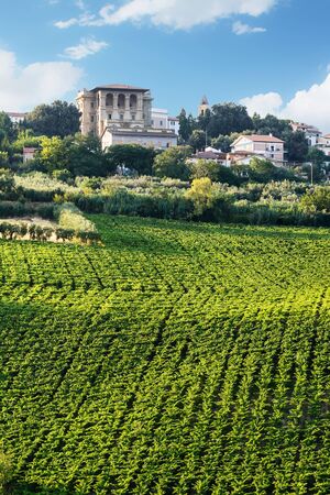 Vineyard and palace in Chieti's provinceのeditorial素材