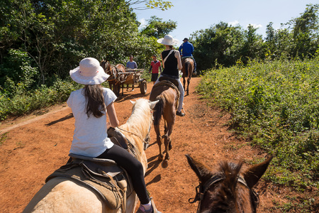 Vinales, Cuba - december 5, 2017: Cohabitation between tourists on horseback and Cubans with the wagon in the valley of Vinales (Cuba)のeditorial素材