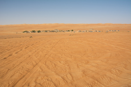 Wahiba Sand Desert and Bedouin camp in the morning (Oman)のeditorial素材