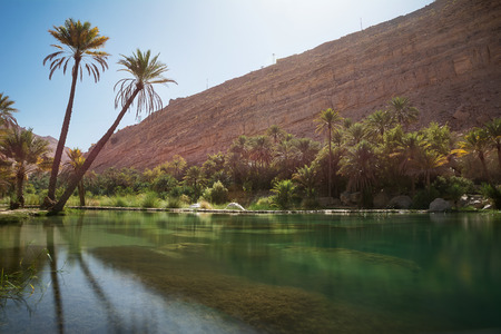 Amazing Lake and oasis with palm trees (Wadi Bani Khalid) in the Omani desertの写真素材