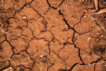 Arid land cracked by droughtの写真素材