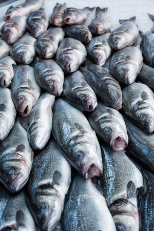 Fresh fish displayed on market stand for saleの写真素材