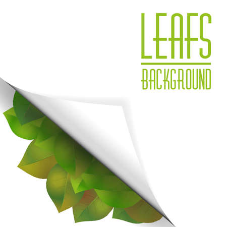 Paper leaves backgroud のイラスト素材
