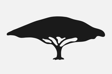 Vector illustration of the african acacia treeのイラスト素材