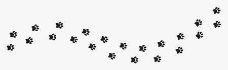 Dog or cat footprints vector, paw print vectorのイラスト素材