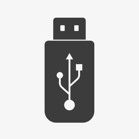 USB icon. Flash drive symbol on white background