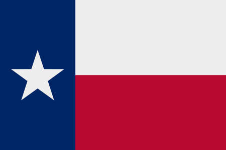 The flag of Texas vector illustration. US stateのイラスト素材