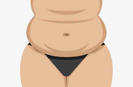 Fat female belly vector. Chubby woman tummy.のイラスト素材
