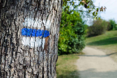 Blue sign on a tree. Marking on hiking trailsの写真素材