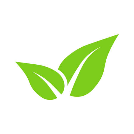 Leaves green vector icon on white background
