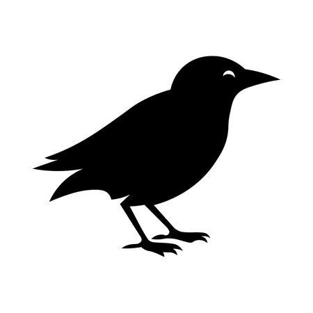 Bird vector black icon isolated on white backgroundのイラスト素材