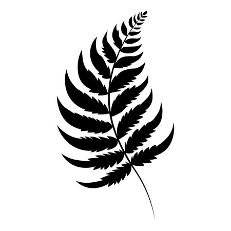 Fern black vector icon isolated on white backgroundのイラスト素材