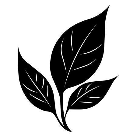 Leaf black vector icon isolated on white backgroundのイラスト素材